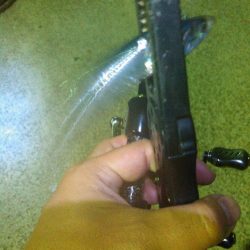 イワシメバルタケちゃん